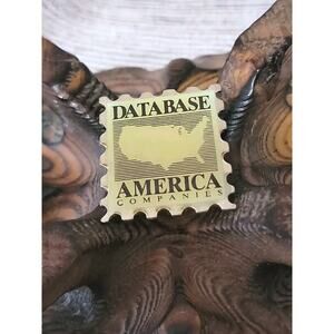 Vintage America Companies Database Pin United States Map Hat Lapel Pin